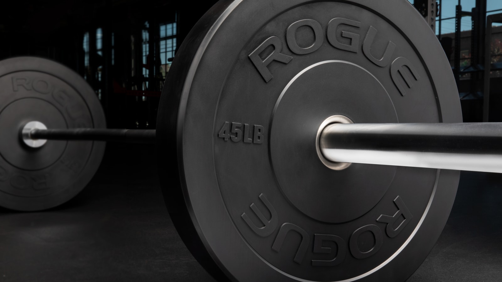 Rogue MIL Spec Echo Bumper Rogue Fitness Canada